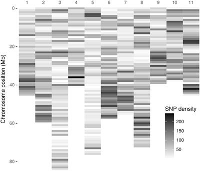 Construction of a High-Density Genetic Map of Acca sellowiana (Berg.) Burret, an Outcrossing Species, Based on Two Connected Mapping Populations